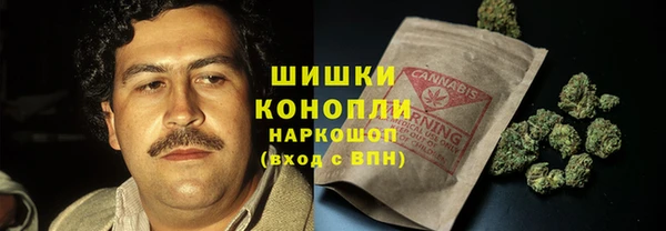 PSILOCYBIN Баксан