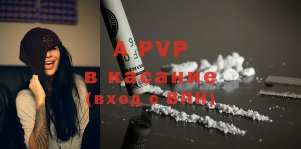 ПСИЛОЦИБИНОВЫЕ ГРИБЫ Балахна