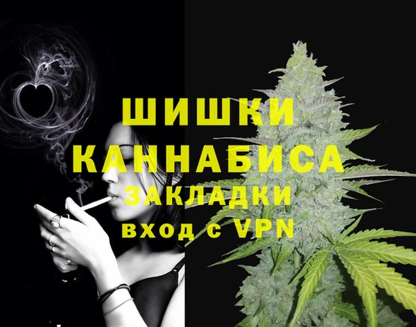 PSILOCYBIN Баксан