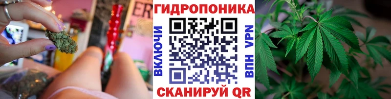 Бошки марихуана MAZAR мега ССЫЛКА Вязьма